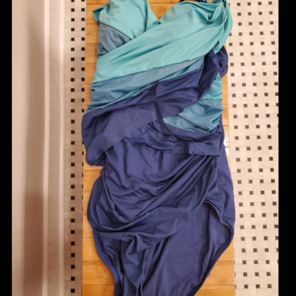 badgley mischka swimsuit